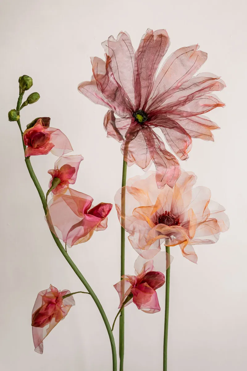 Sanneloes Fotografie Savvy Styling La Luz