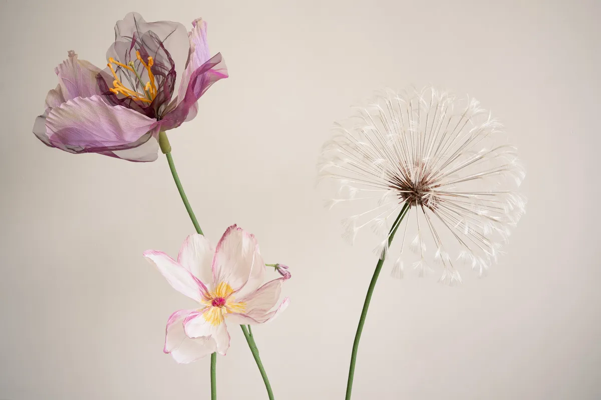 Sanneloes Fotografie Savvy Styling La Luz